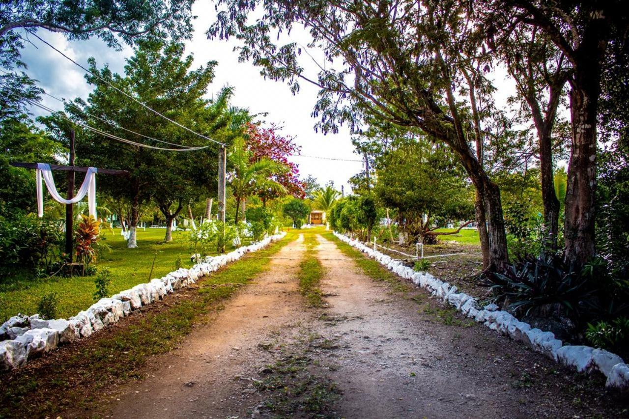 Camping Cozumel