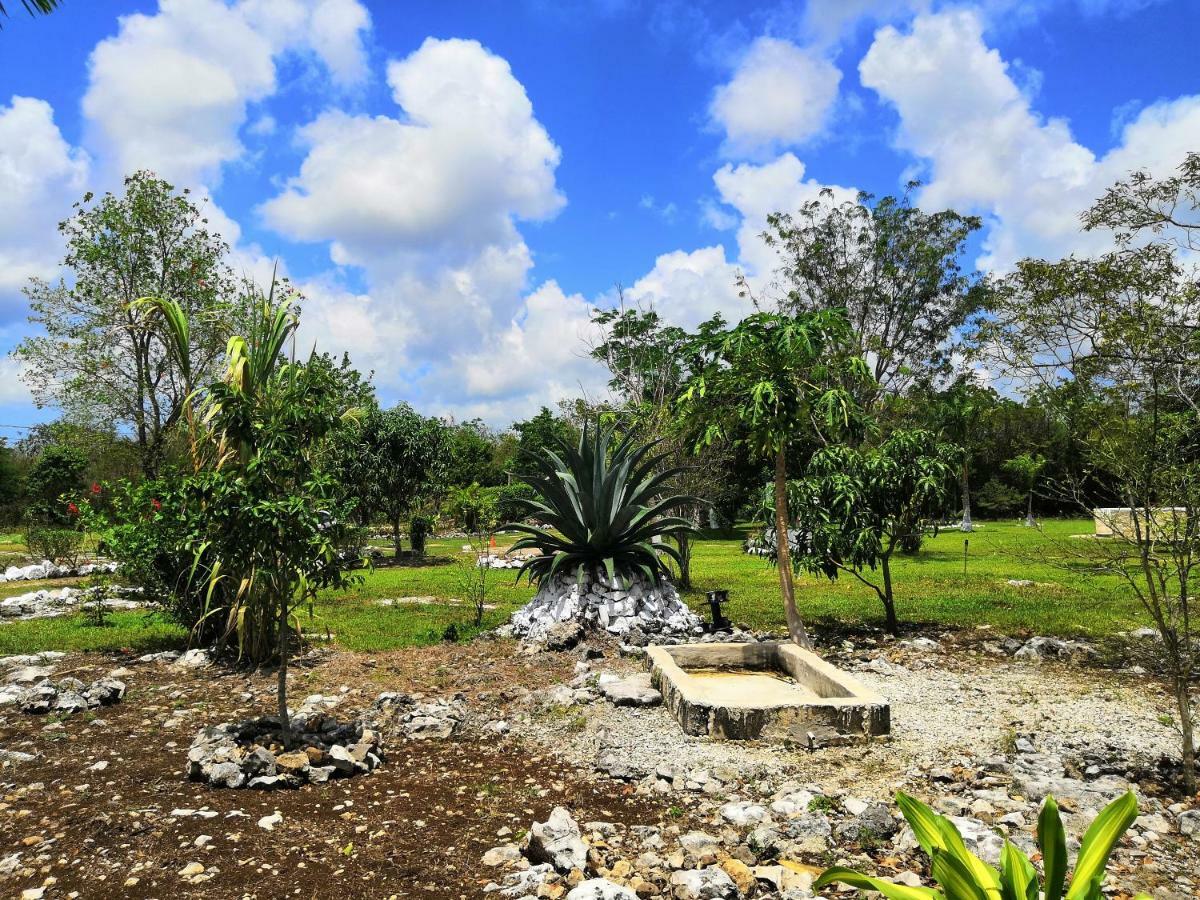 Camping * Cozumel