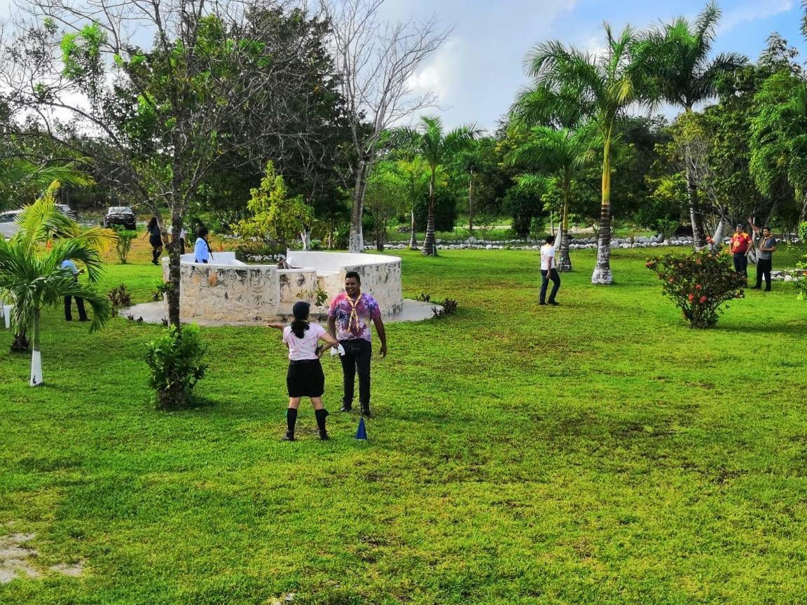 Camping Acampamento *