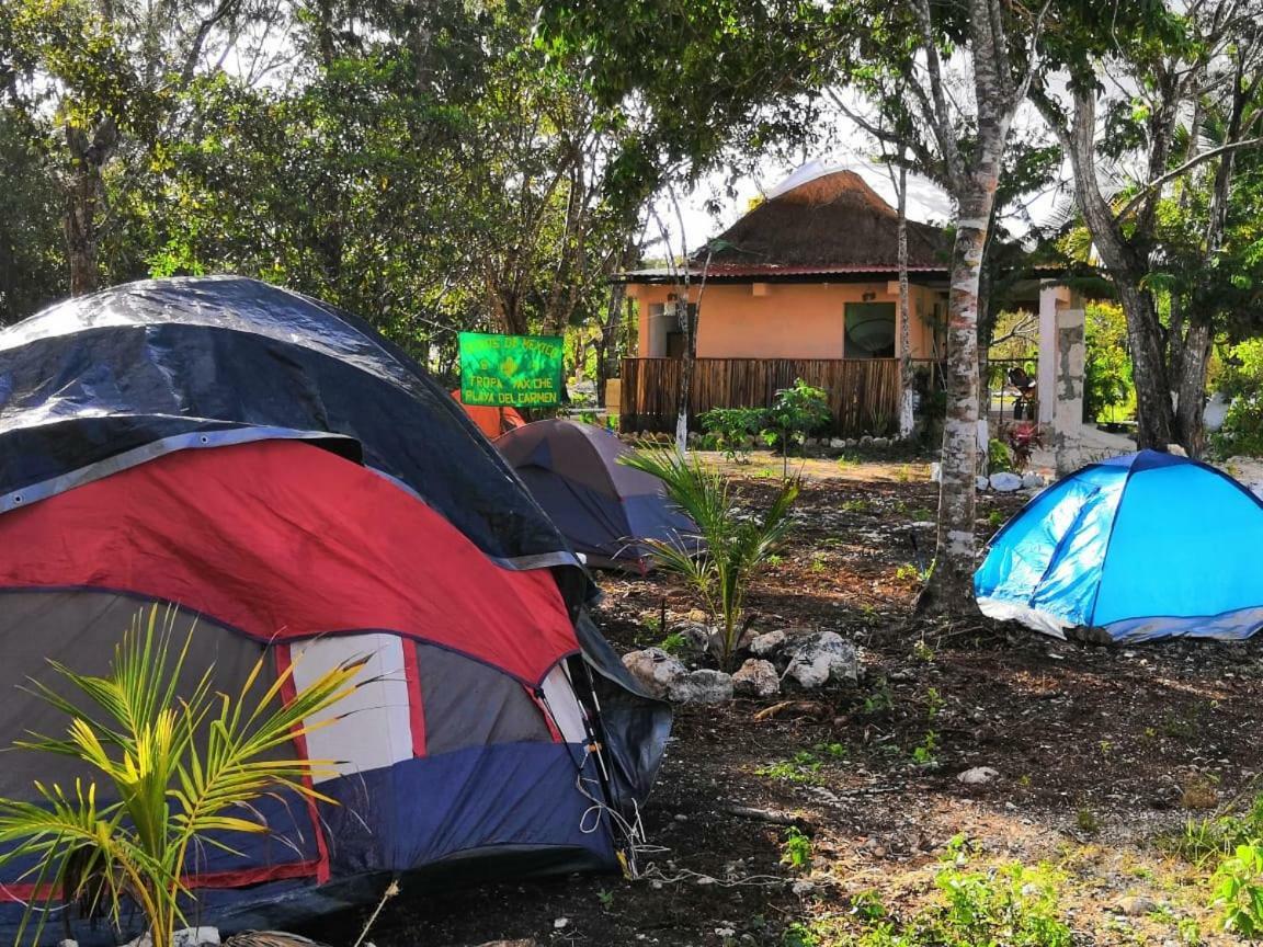 Camping Acampamento *
